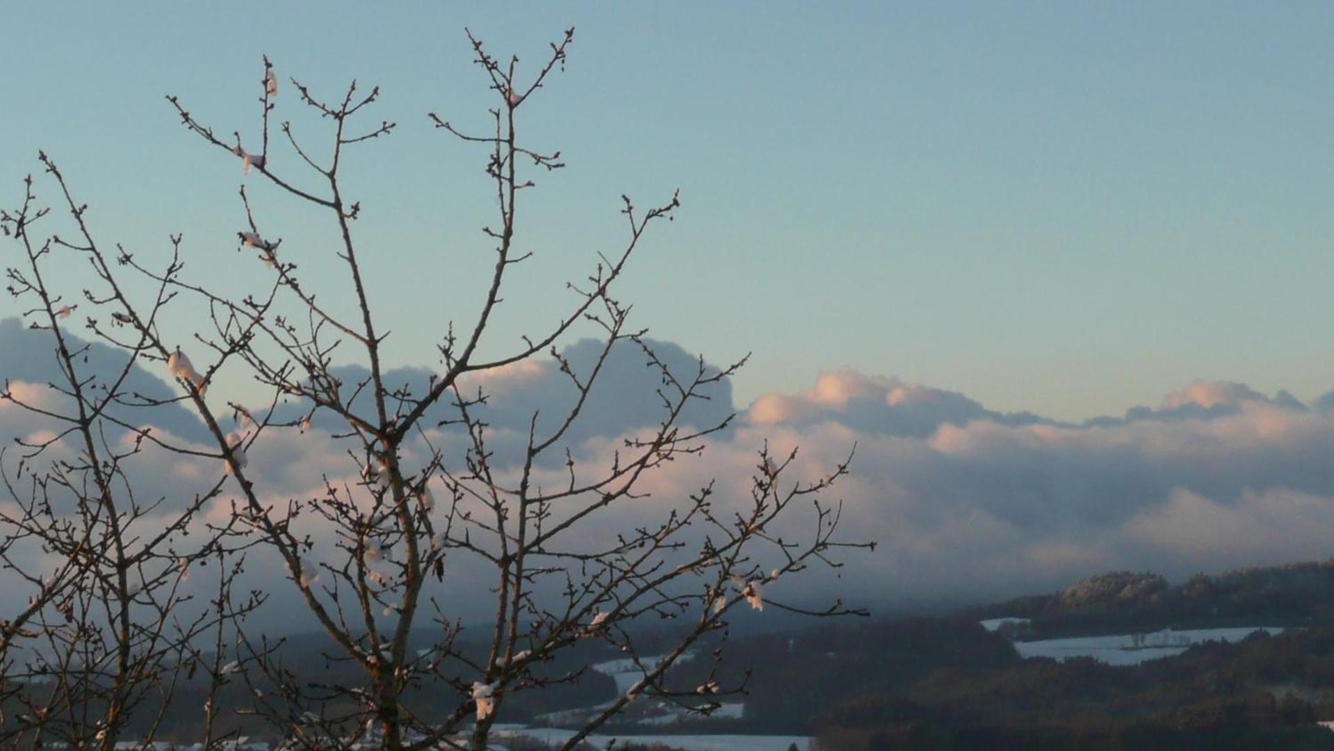 Ferienwohnungen Alpenblick Mit Garten -Panoramasauna- Kirchdorf im Wald Екстериор снимка